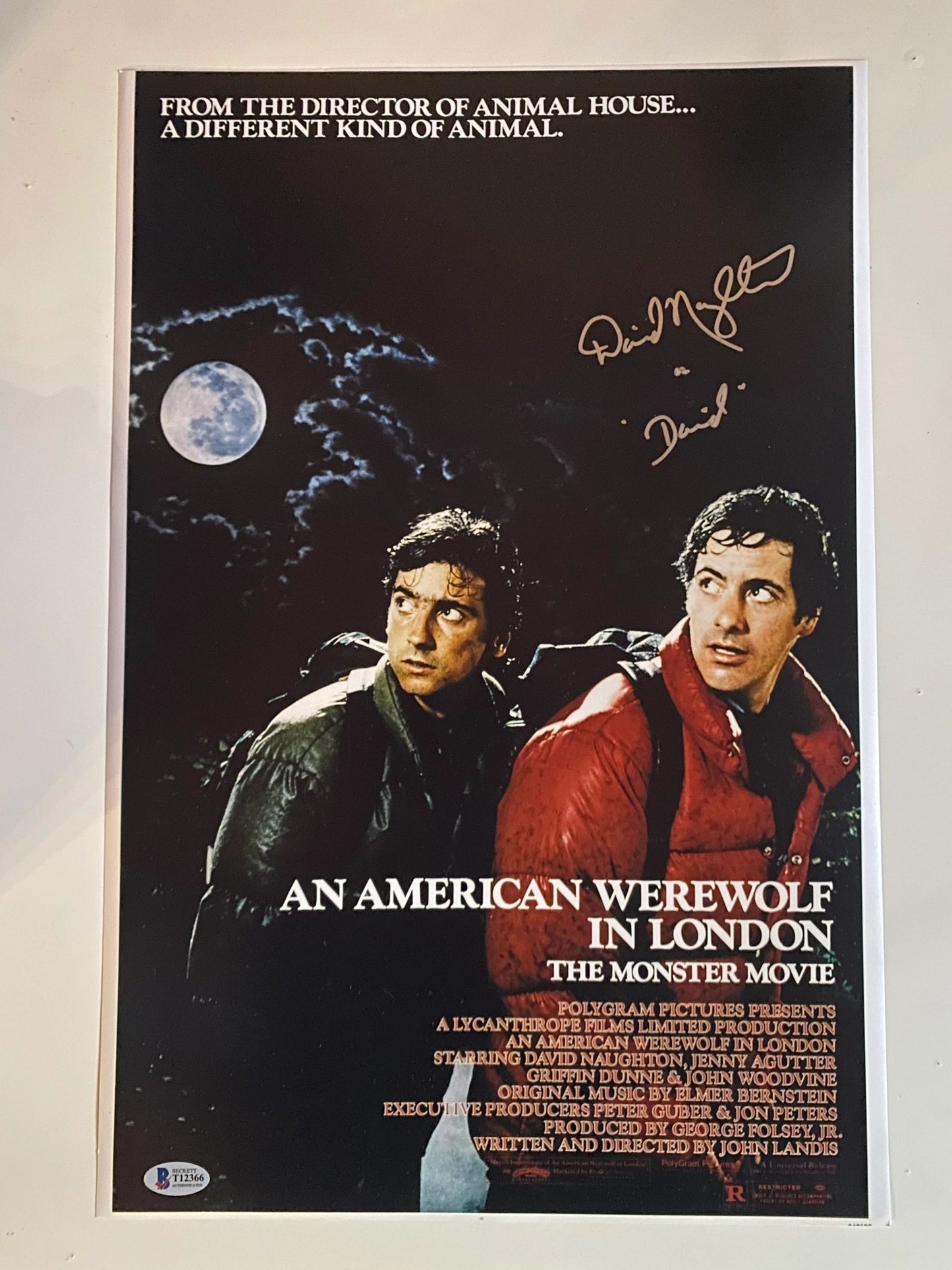 David Naughton - An American Werewolf in London signed 12x18 Beckett Authenticated